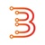 Boston Networks Logo