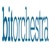 Bitorchestra Logo