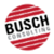 Busch Consulting, Inc. Logo