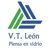 Vidrios Transformados León, S.L. Logotype