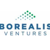 Borealis Ventures Logo