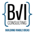 BVI Consulting Logo