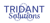 Tridant Solutions Logo