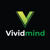 VividMind Logo