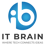 IT Brain Logo