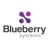 Blueberry Systems Logo