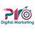 Pro Digital Marketing Agency Logotype