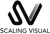 Scaling Visual Logo