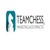 Teamchess Marketing Logo