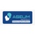 Aseum InfoTech Pvt. Ltd. Logo