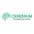 Cerebrum Infotech Logo