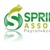 Spring Forth Associates LLC Logo