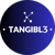 Tangibl3 Logotype