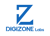 DIGIZONELabs Logo