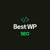 Best Wp SEO Logo