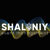 Shaleniy Crazy & Wow Events Logo