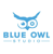 Blue Owl Studio Logo
