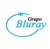 Grupo Bluray Logo