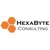 HexaByte Consulting Logo