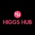 HIGGS HUB Logotype