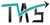 Trinican Accounting Services Logo