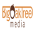 Big Oak Tree Media Logo