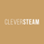 Cleversteam Logo