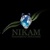 NIKAM Innovative Solutions Logo