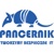 Pancernik IT Logo