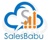 SalesBabu Business Solutions Pvt. Ltd. Logo