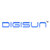 DIGISUN IT Network Pvt Ltd Logo