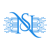 NexSky IT Solutions Logo