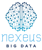 Nexeus Big Data Logo