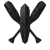 Black Oar Studio Logo