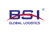 BSI Global Logistics Logotype