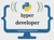 Hyper Developer Logo
