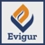 Evigur Solutions Corp Logo
