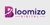 Bloomizo Digital Solutions Logo