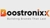BoostronixX Logotype
