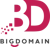 Big Domain Logo
