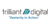 Trilliant Digital Logotype