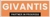 Givantis IT Services Logo