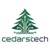 Cedars Technologies SARL Logo