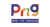 PNG SAUDI Logo