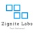 Zignite Labs Logo