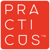 Practicus Logo
