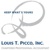 Louis T. Picco, Inc. Logo