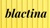 Blactina Media Logo