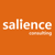 Salience Consulting Logo