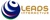 Leads Interactive Logo